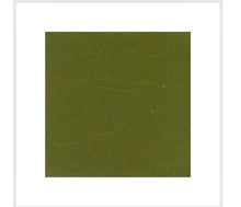 Naložite sliko v pregledovalnik galerije, KOPALKE Sunny MAXFORT MAX več barv 3XL do 10XL